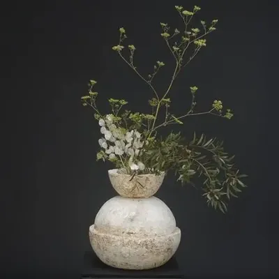 Pottery - ANEMONE - BOUTURES D'OBJETS