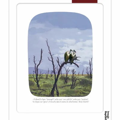 Affiches - Voutch - Affiches - IMAGE REPUBLIC