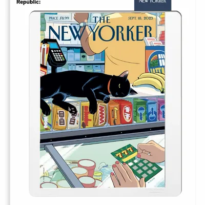 Affiches - THE NEW YORKER - Affiches - IMAGE REPUBLIC