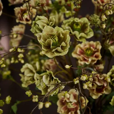 Floral decoration - Artificial Hellebores flowers - SILK-KA