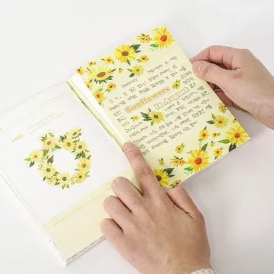 Papeterie - [LANFORAL] Lettre et journal en hangeul pour tous - KCDF