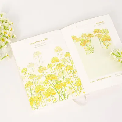 Papeterie - [LANFORAL] Lettre et journal en hangeul pour tous - KCDF