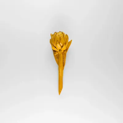 Design objects - ARCHOKE - MOSCHE BIANCHE