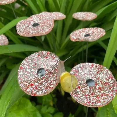 Floral decoration - Small galass flower in transparent, red and white colors - CARNEOL GLASS