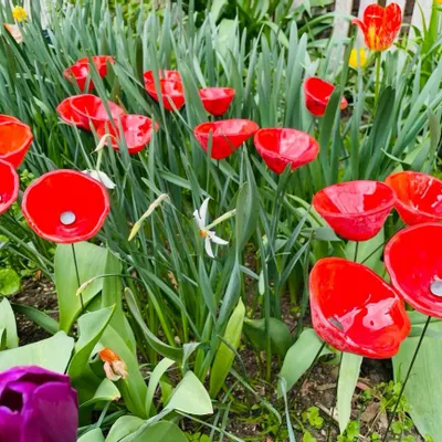 Accessoires de jardinage - Fleur de cala rouge de taille moyenne - CARNEOL GLASS