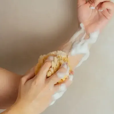 Beauty products - Sea sponge - NOUS LE SAVONS