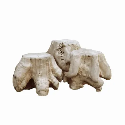 Coffee tables - Trump trunk - SEMPRE IN & OUTDOOR LIVING BV