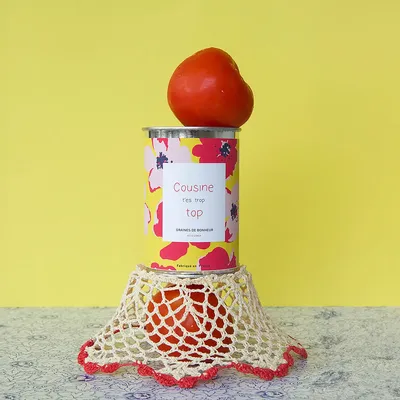 Cadeaux - Kit à semer "Cousine t'es trop top" - MAUVAISES GRAINES