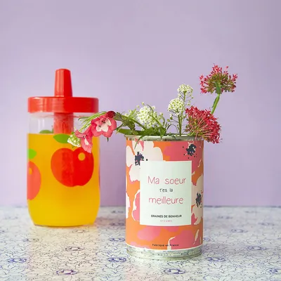 Cadeaux - Kit à semer "Ma soeur t'es la meilleur" - MAUVAISES GRAINES