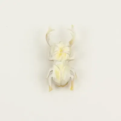 Broches - Broche Coleoptere en corne blonde - L INDOCHINEUR X RIVÊT