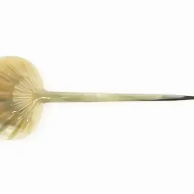 Barrettes - Fan-shaped hairpin in blond horn - L INDOCHINEUR X RIVÊT