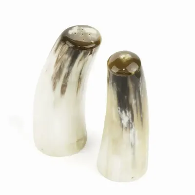 Moulins à épices - Salière et poivrière en corne blonde - L INDOCHINEUR X RIVÊT