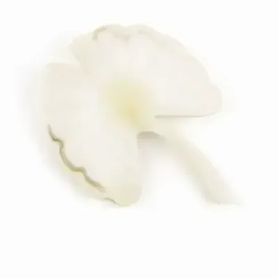 Brooches - Gingko brooch in marbled black horn - L INDOCHINEUR X RIVÊT