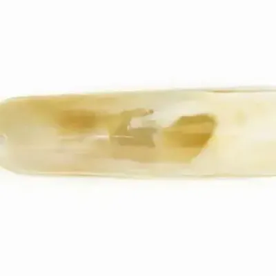 Shoes - Shoehorn in blond horn - L INDOCHINEUR X RIVÊT