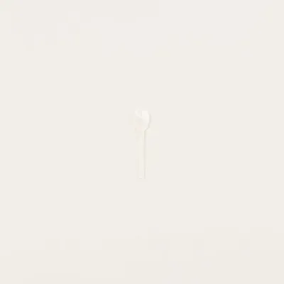 Kitchen utensils - Set of 6 salt spoon in white mother of pearl - L INDOCHINEUR X RIVÊT