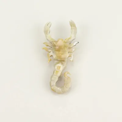 Brooches - Scorpion brooch in blond horn - L INDOCHINEUR X RIVÊT