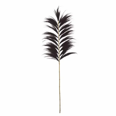 Decorative objects - Rayung Black Grass Branch - HYDILE