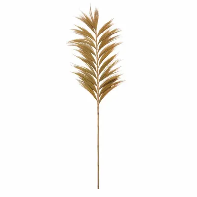 Decorative objects - Rayung Natural Grass Branch - HYDILE