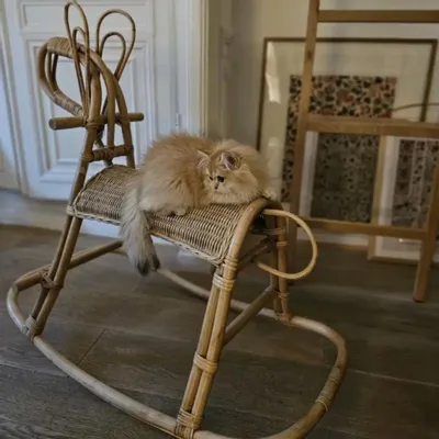 Jouets enfants - JIMY - Cheval à bascule en rotin vintage - HYDILE