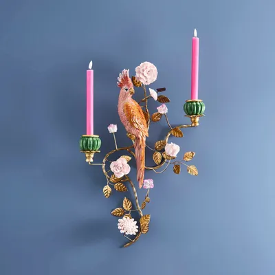 Other wall decoration - Parrot Wall Candlestick - WERNS