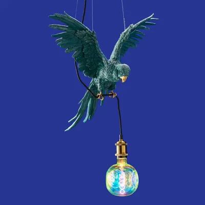 Suspensions - Plafonnier Perroquet Percy - WERNS
