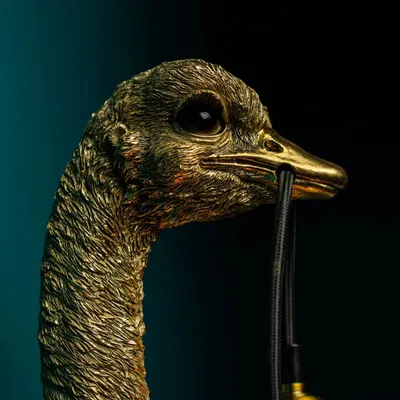 Wall lamps - Baby Franz Josef ostrich wall lamp - WERNS