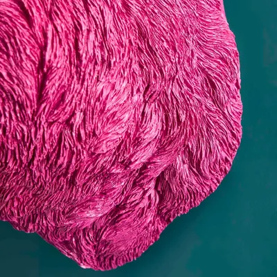 Wall lamps - Willy Wild Boar Wall Light, Magenta - WERNS