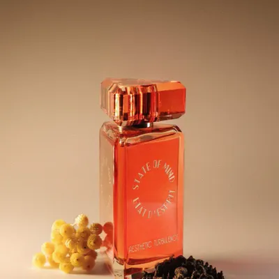 Fragrance for women & men - Perfume 100 ML Aesthetic Turbulence - STATE OF MIND