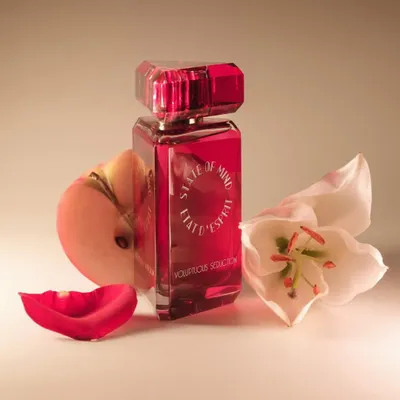 Fragrance for women & men - Perfume 100 ML Voluptuous Seduction - STATE OF MIND