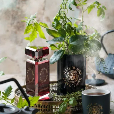 Fragrance for women & men - Perfume 100 ML French Gallantry - STATE OF MIND