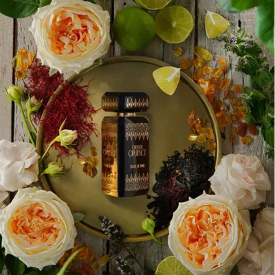 Parfums pour soi et eaux de toilette - Parfum 100 ML Oriental Opulence - STATE OF MIND