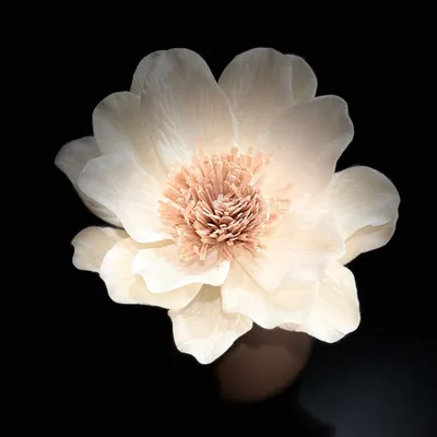 Floral decoration - Aromatic diffuser, vase and flower for home fragrance - ANOQ