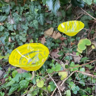 Floral decoration - Middle sized Glass Calla Lilly For Outside In Transp.-Yellow - CARNEOL GLASS