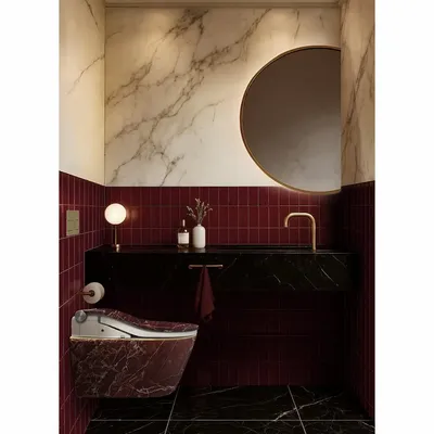 WC - MARBRE ÉMOTION-3　TOTO edition - ARTOLETTA NEW COLLECTION