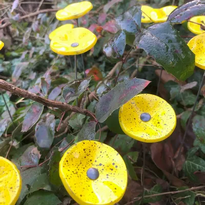 Floral decoration - Round small glass flower for outdoor use in yellow-black colour with 43 cm stainless steel stem - CARNEOL GLASS