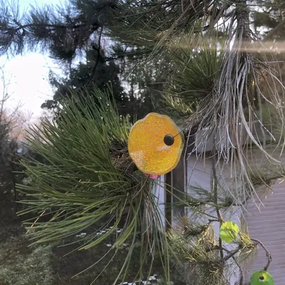 Floral decoration - Medium -sized glass calabel flower for outdoor in transparent, orange, yellow colour with 43 cm stainless steel stem. - CARNEOL GLASS
