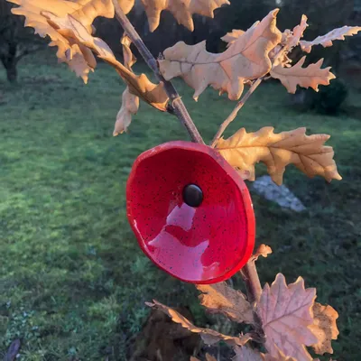 Décorations florales - Fleur de calebasse en verre de taille moyenne pour l'extérieur de couleur rouge-noir avec tige en acier inoxydable de 43 cm. - CARNEOL GLASS