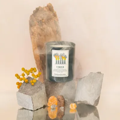 Candles - Ombres Portees Parfumeur scented candle 1903 - OMBRES PORTÉES PARFUMEUR