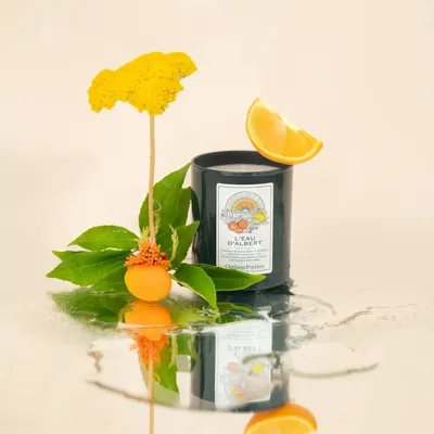 Candles - Ombres Portees Parfumeur scented candle L'eau d'Albert - OMBRES PORTÉES PARFUMEUR
