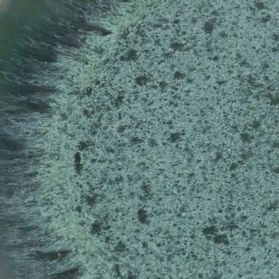 Assiettes au quotidien - L’Assiette À Salade Aqua - Set De 6 - BAZAR BIZAR LIVING