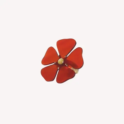 Jewelry - Adjustable XL red ring - Son Jardin - NATURE BIJOUX