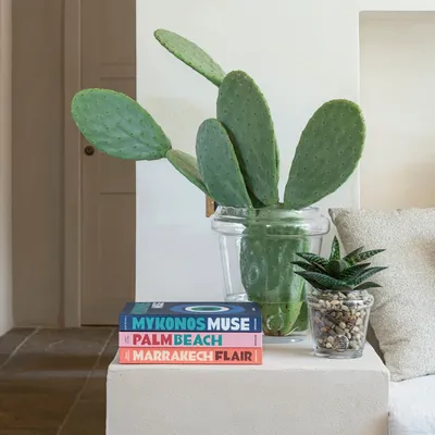 Vases - Vase Birg - GOMMAIRE