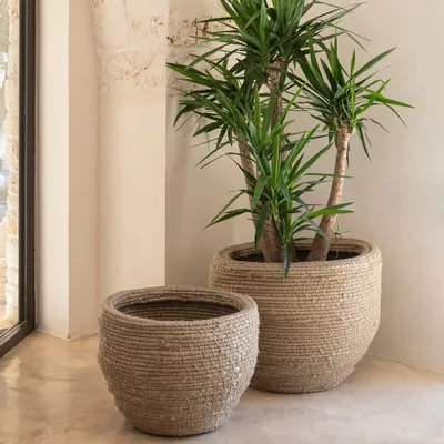 Decorative objects - Basket Java - GOMMAIRE