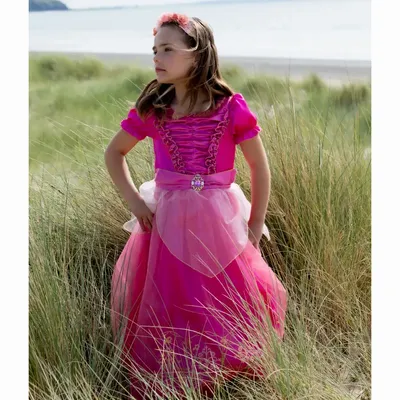 Children's dress-up - Lucie Dress - Children's Costume - LABAY