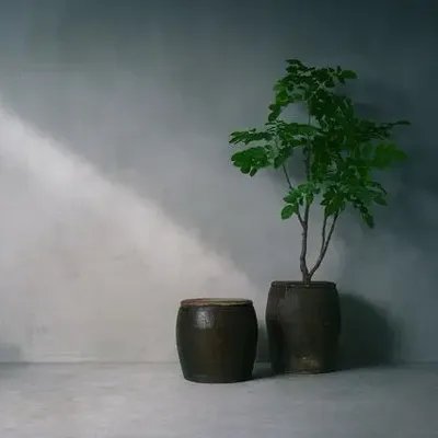 Flower pots - Glazed Planters - THE SILK ROAD COLLECTION