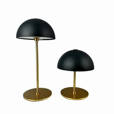 Lampes de table - Ensemble comprenant 2 pièces. - DYBERG LARSEN