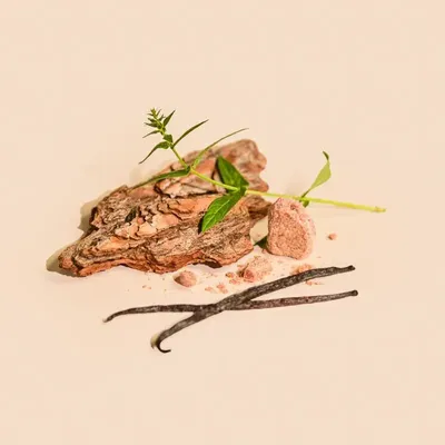 Scent diffusers - Amber scented stick diffuser 100ml - TANDEM FRAGRANCES