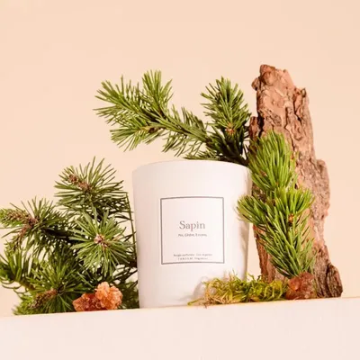 Candles - Fir tree scented candle white glass - 6,40oz 100% vegetable wax - TANDEM FRAGRANCES