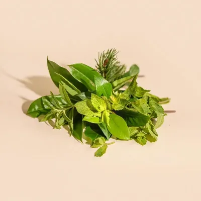 Bougies - Bougie Feuille de menthe verre blanc 180g - Cire 100% végétale - TANDEM FRAGRANCES