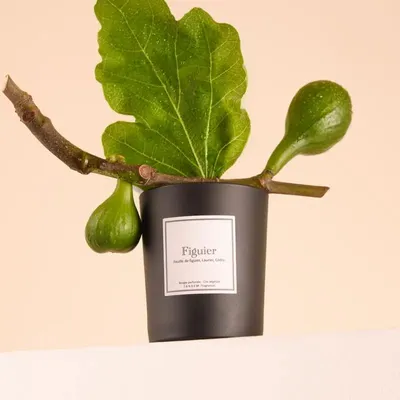 Bougies - Bougie Figuier verre noir 180g - Cire 100% végétale - TANDEM FRAGRANCES